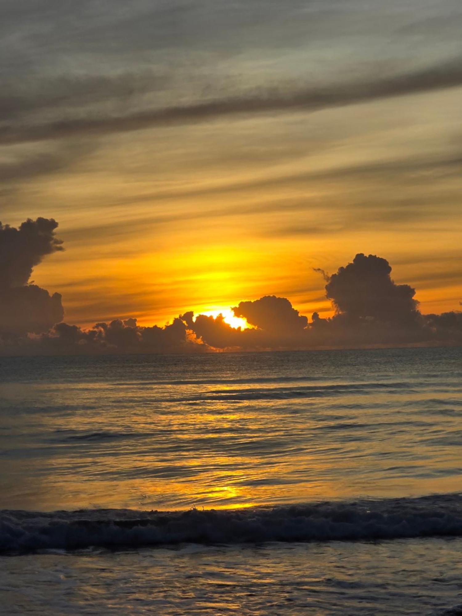 Casa Kattleya Apartman Tortuguero Kültér fotó